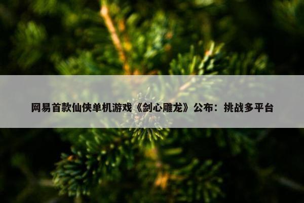 网易首款仙侠单机游戏《剑心雕龙》公布：挑战多平台