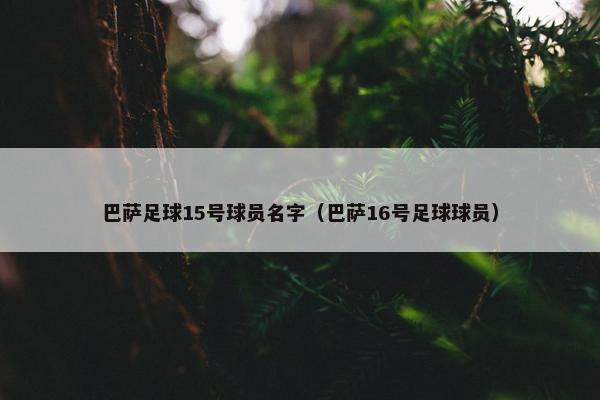 巴萨足球15号球员名字（巴萨16号足球球员）