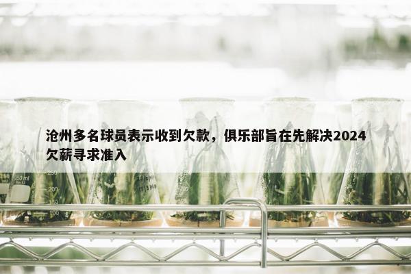 沧州多名球员表示收到欠款，俱乐部旨在先解决2024欠薪寻求准入