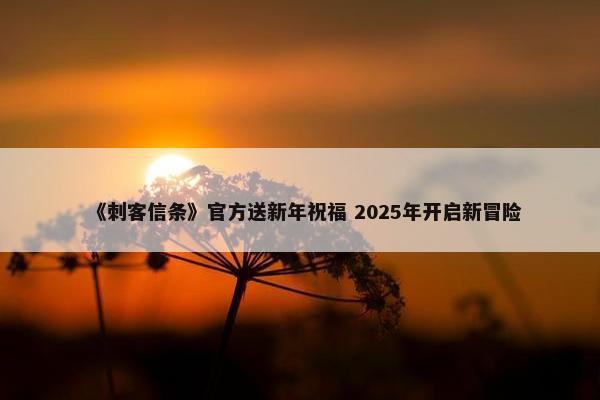 《刺客信条》官方送新年祝福 2025年开启新冒险