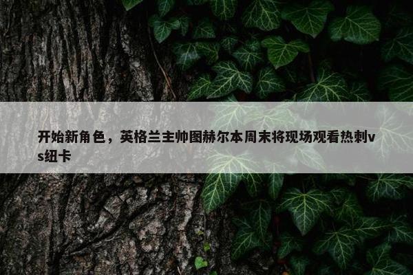 开始新角色，英格兰主帅图赫尔本周末将现场观看热刺vs纽卡