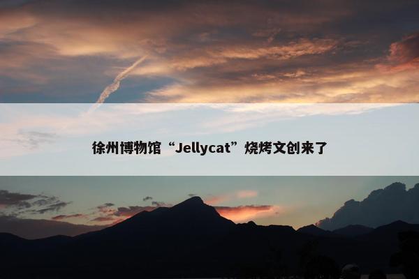 徐州博物馆“Jellycat”烧烤文创来了