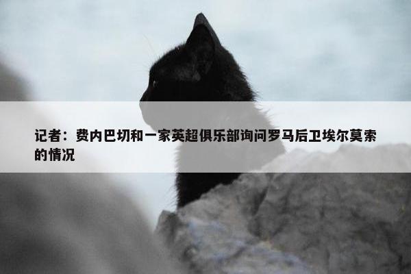 记者：费内巴切和一家英超俱乐部询问罗马后卫埃尔莫索的情况