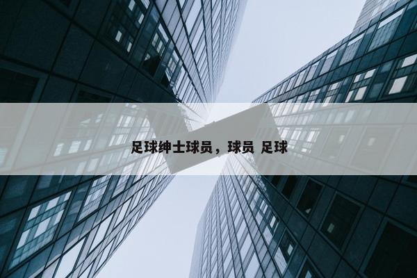 足球绅士球员，球员 足球