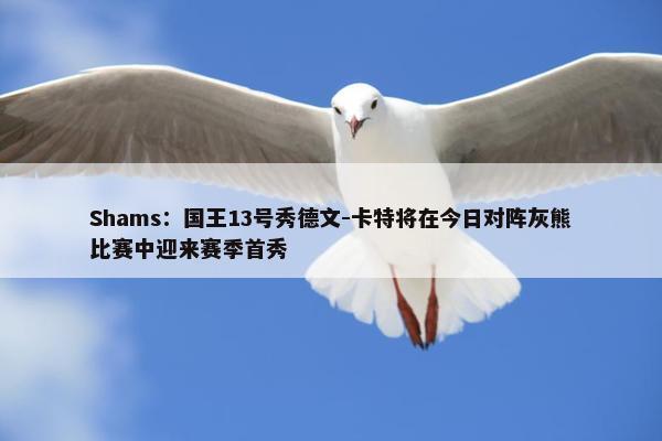 Shams：国王13号秀德文-卡特将在今日对阵灰熊比赛中迎来赛季首秀