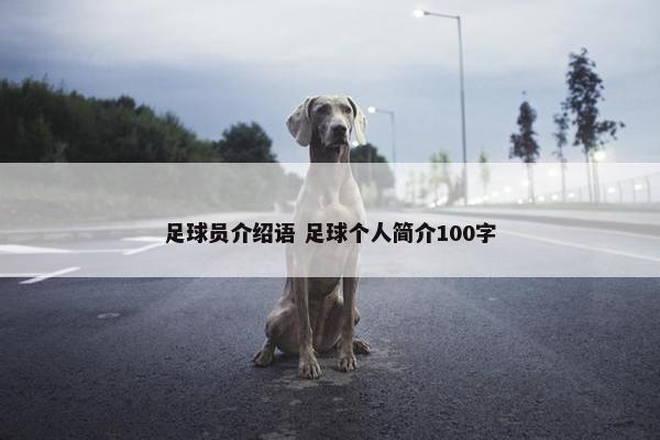 足球员介绍语 足球个人简介100字