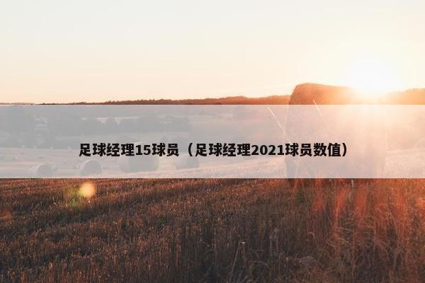 足球经理15球员（足球经理2021球员数值）