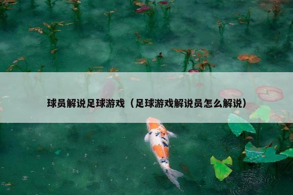 球员解说足球游戏（足球游戏解说员怎么解说）