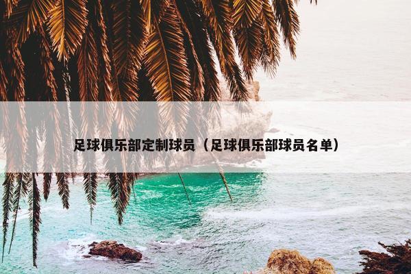 足球俱乐部定制球员（足球俱乐部球员名单）