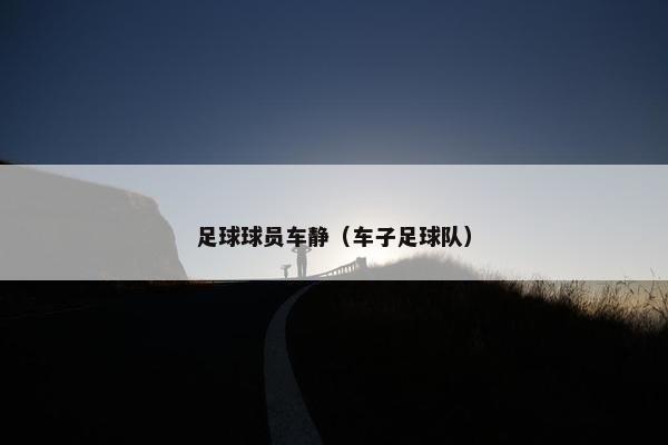 足球球员车静（车子足球队）