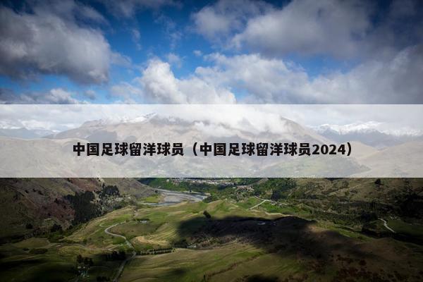 中国足球留洋球员（中国足球留洋球员2024）