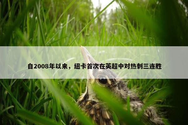 自2008年以来，纽卡首次在英超中对热刺三连胜