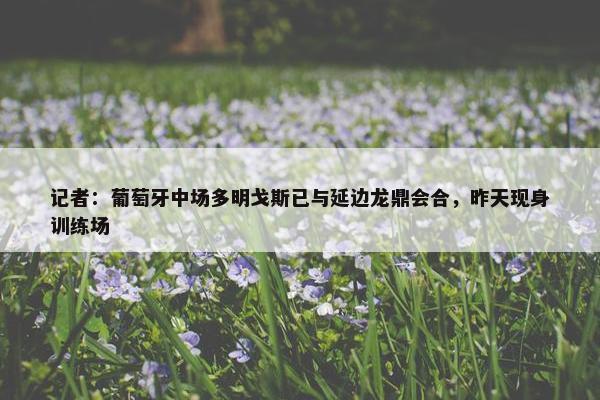 记者：葡萄牙中场多明戈斯已与延边龙鼎会合，昨天现身训练场