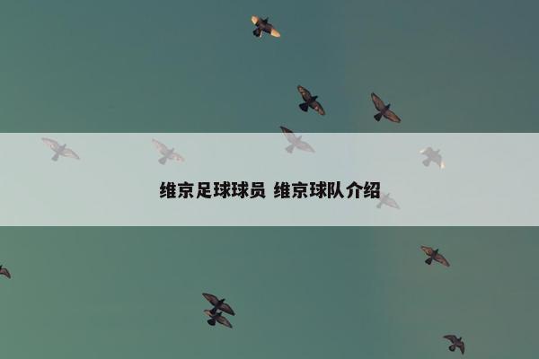 维京足球球员 维京球队介绍