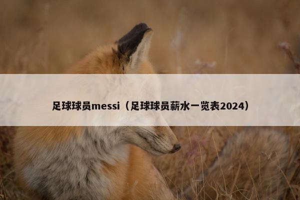 足球球员messi（足球球员薪水一览表2024）