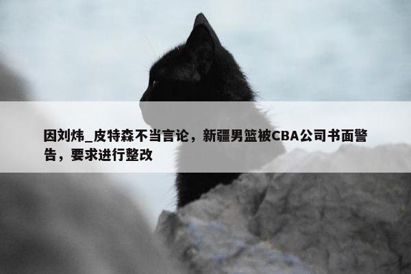 因刘炜_皮特森不当言论，新疆男篮被CBA公司书面警告，要求进行整改