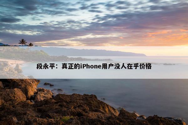 段永平：真正的iPhone用户没人在乎价格