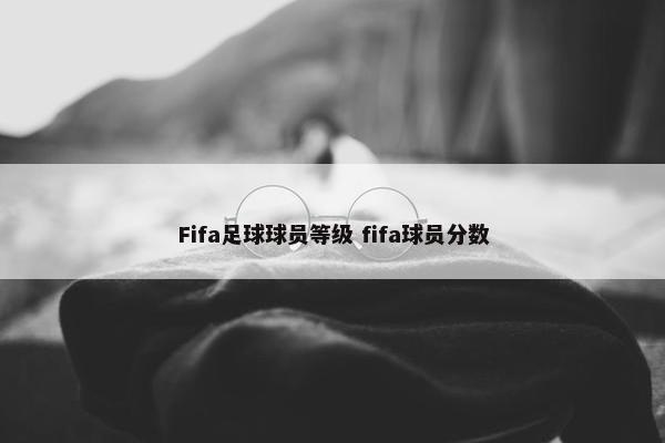 Fifa足球球员等级 fifa球员分数