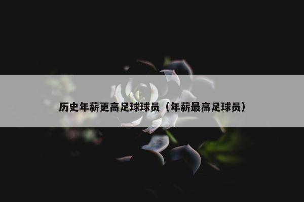 历史年薪更高足球球员（年薪最高足球员）