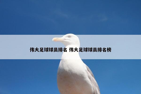 伟大足球球员排名 伟大足球球员排名榜