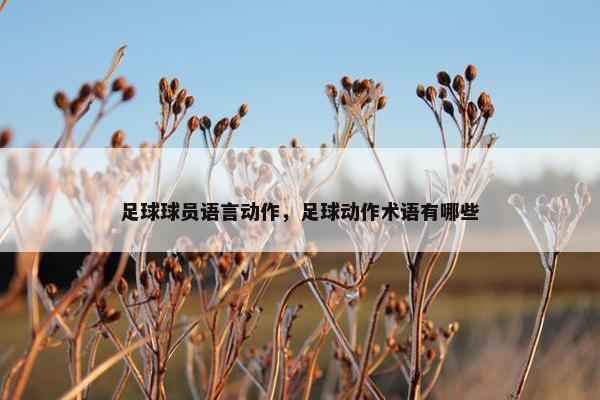 足球球员语言动作，足球动作术语有哪些