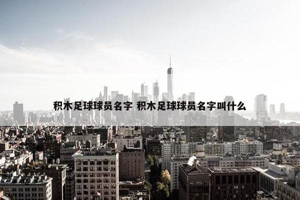 积木足球球员名字 积木足球球员名字叫什么