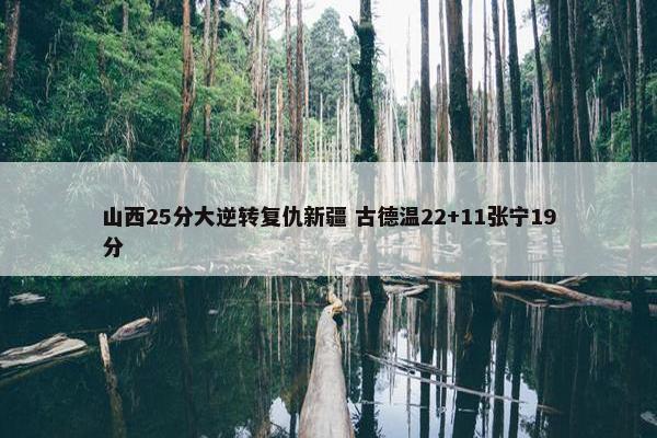 山西25分大逆转复仇新疆 古德温22+11张宁19分