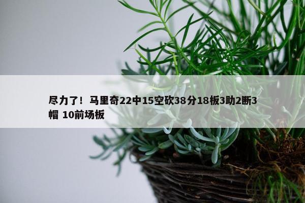 尽力了！马里奇22中15空砍38分18板3助2断3帽 10前场板