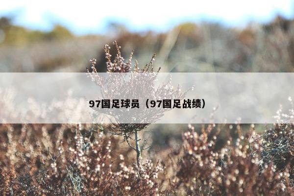 97国足球员（97国足战绩）